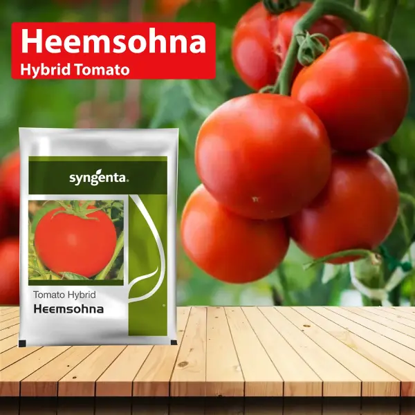 HEEMSOHNA TOMATO