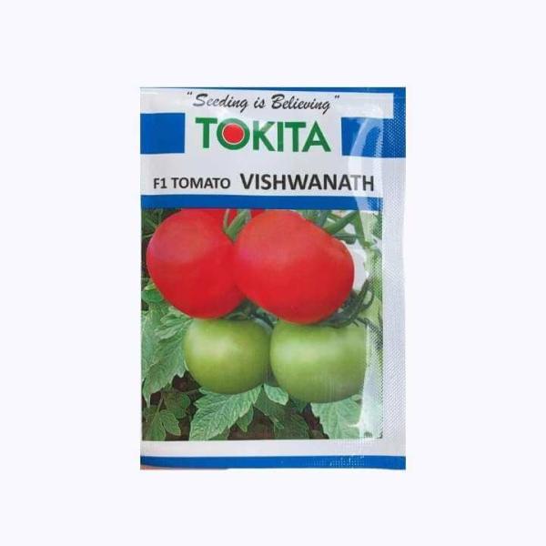 TOKITA VISHWANATH TOMATO