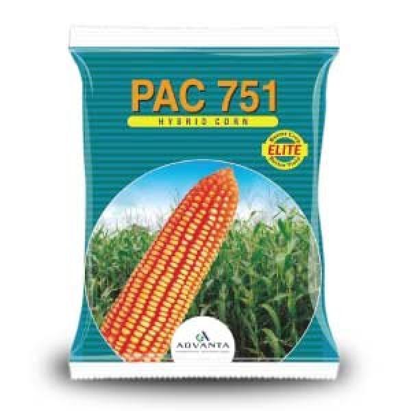 PAC751 ELITE CORN SEEDS